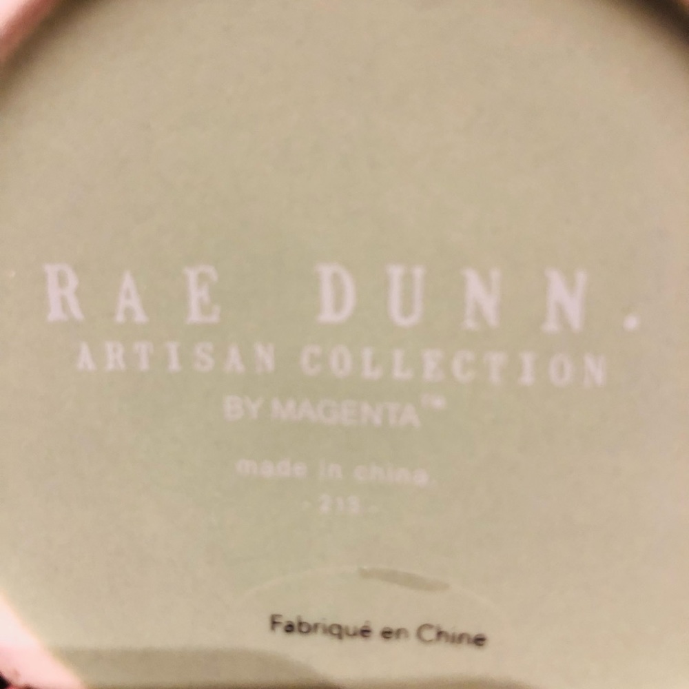 Rae Dunn THINGS Canister with lid light green - Picture 4 of 4